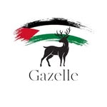 Logo of gazellefootwearstore